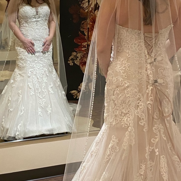 Stella York Wedding Dress - Picture 4 of 5